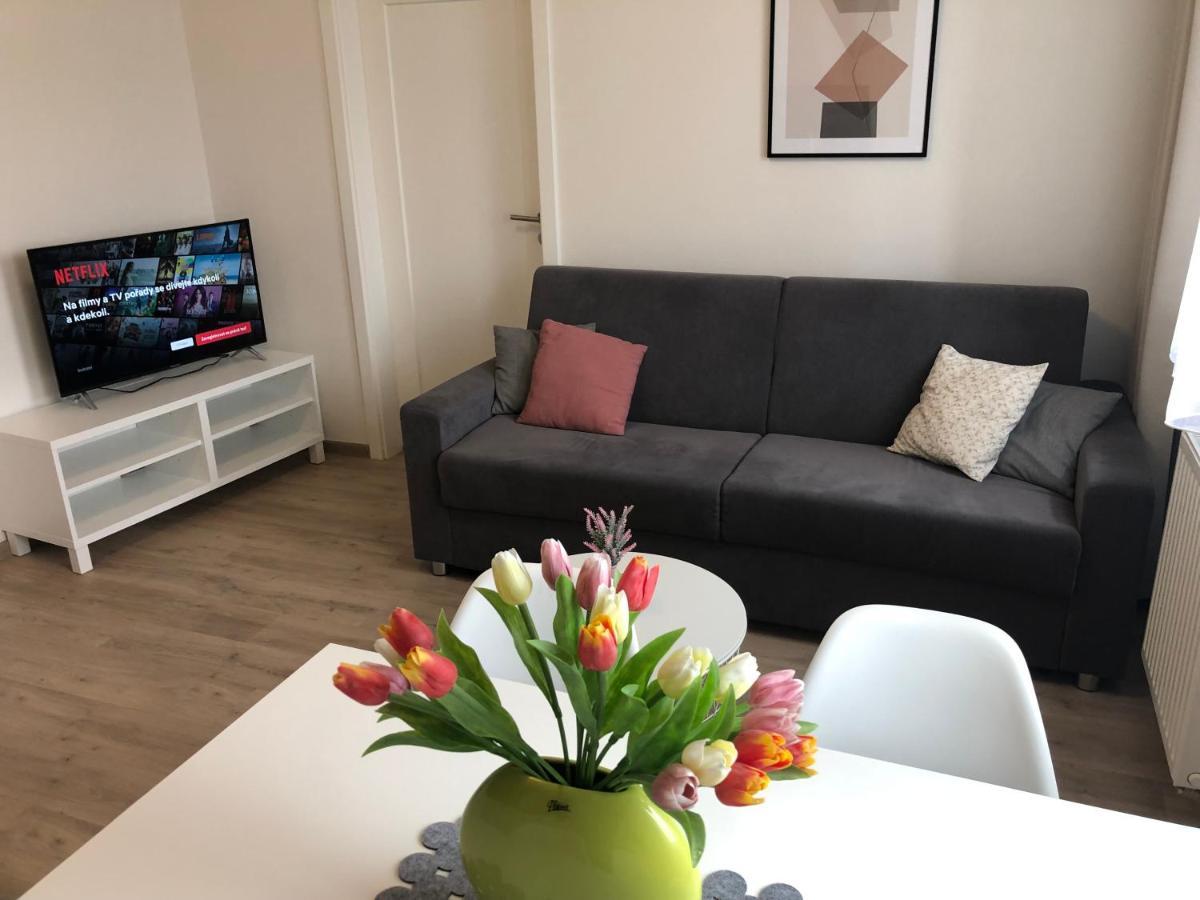 Rezidence Weisovka Apartment Ceske Budejovice Bagian luar foto